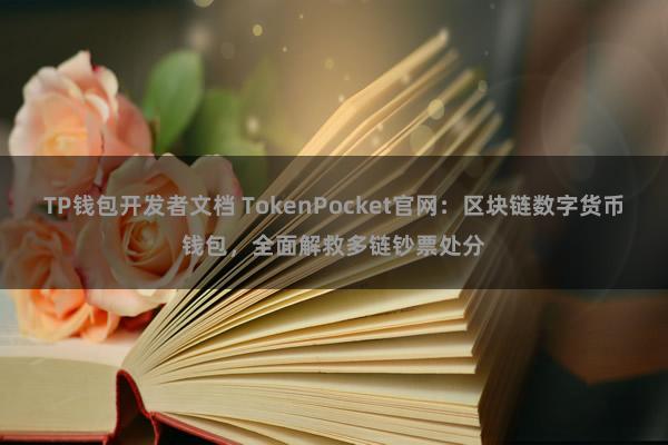 TP钱包开发者文档 TokenPocket官网：区块链数字货币钱包，全面解救多链钞票处分